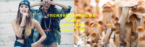 ПСИЛОЦИБИНОВЫЕ ГРИБЫ Покров